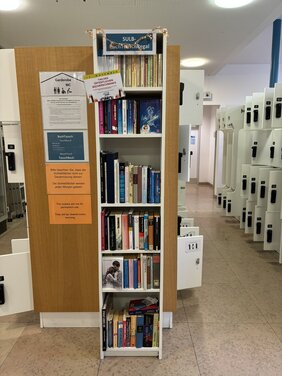 Frisch aufgefülltes Bücher-Tausch-Regal mit Lichterkette.